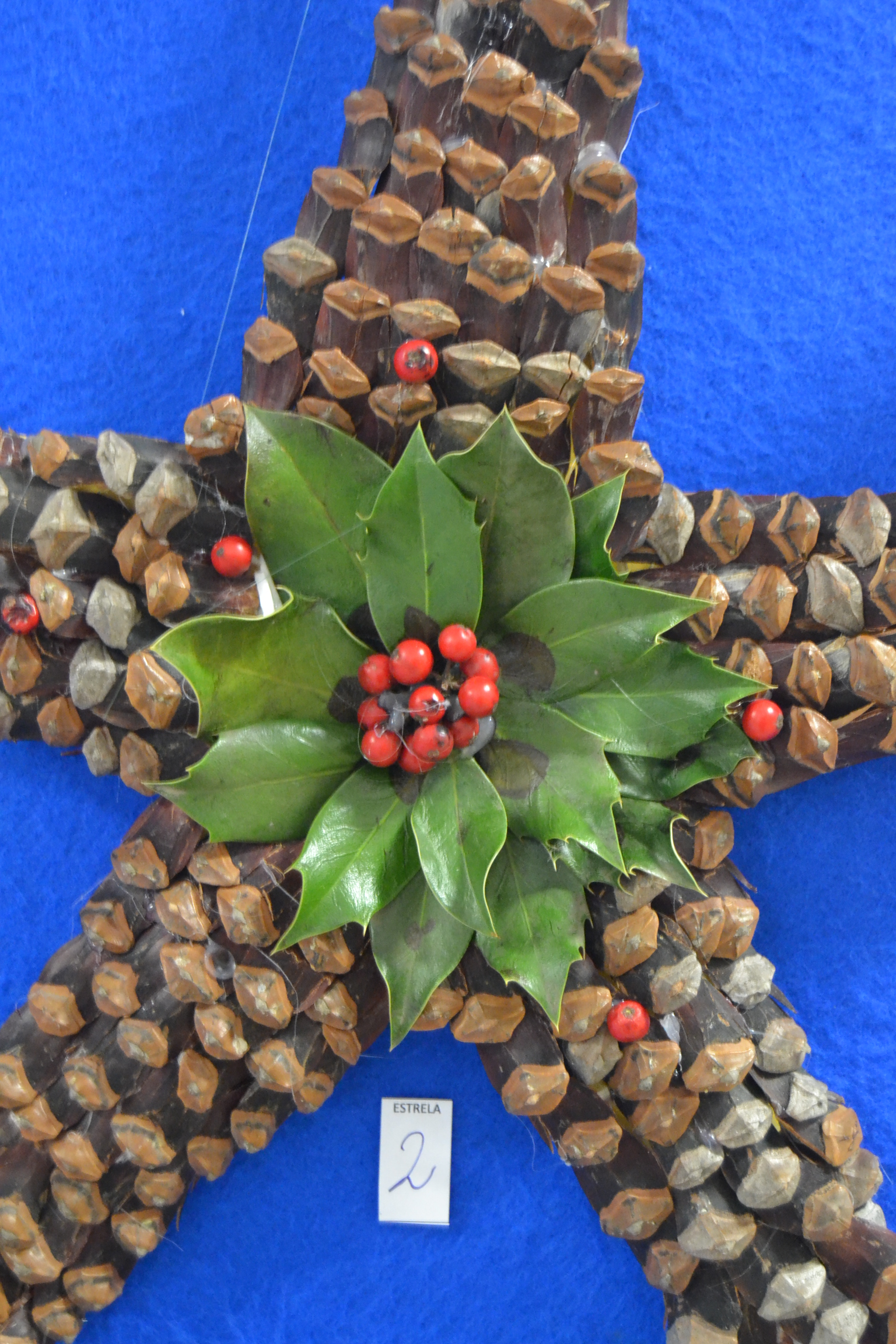Concursos Natal (15).JPG